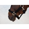 Kentucky 3D Mesh Halter