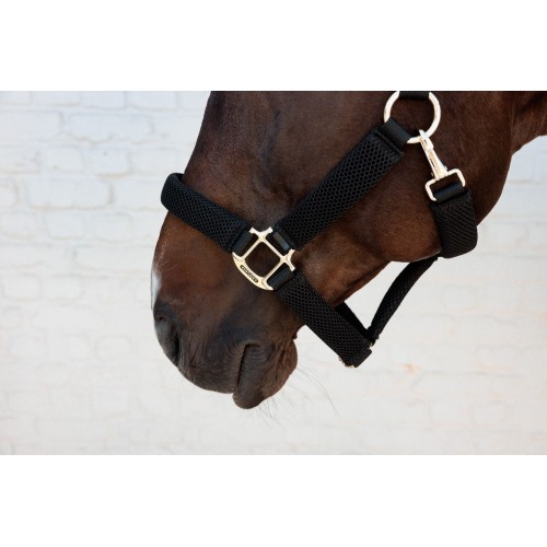 Kentucky 3D Mesh Halter