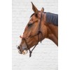 Kentucky Rope Halter