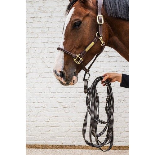 Kentucky Lunge Line Flat 8m