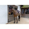 Kentucky Ear Net Wellington Velvet Pied-de-Poule