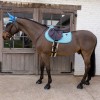 Kentucky Velvet Pied-de-Poule Jumping Saddle Pad