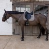 Kentucky Velvet Pied-de-Poule Dressage Saddle Pad
