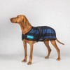 Back on Track Cooling Dog Blanket 2.0
