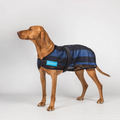 Back on Track Cooling Dog Blanket 2.0