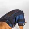 Back on Track Cooling Dog Blanket 2.0