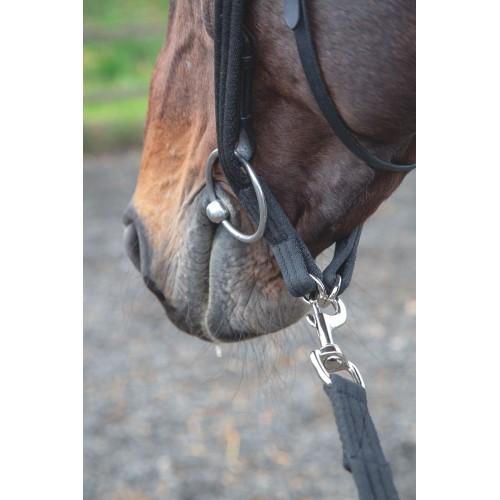 ARMA Lunging Adapter