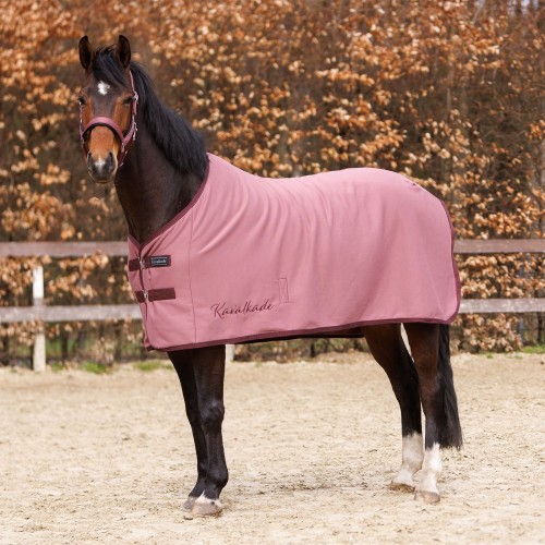 Kavalkade Jersey Fleece Rug Graceful