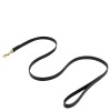 BR dog leash