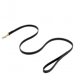 BR dog leash