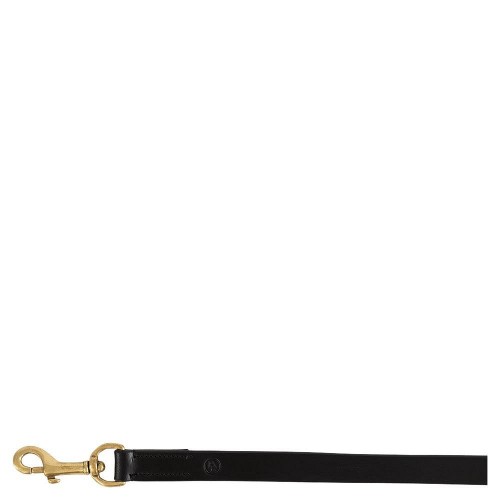 BR dog leash