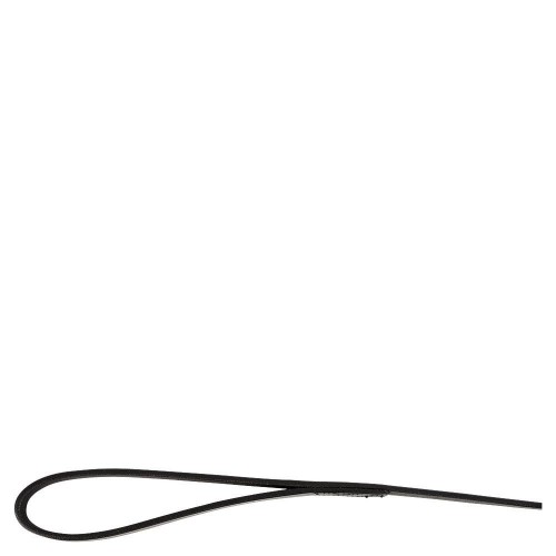 BR dog leash