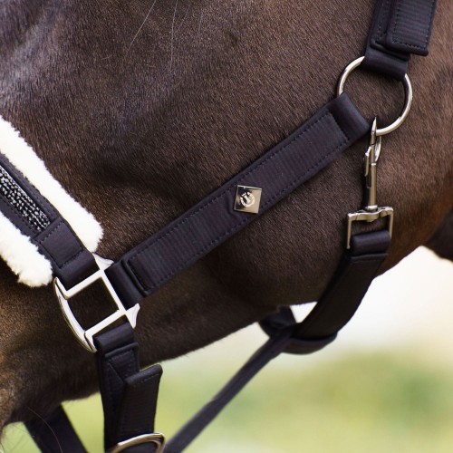 Imperial Riding FW25 Halter Jewel