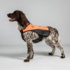 Back on Track Reflective Dog Vest Trakk