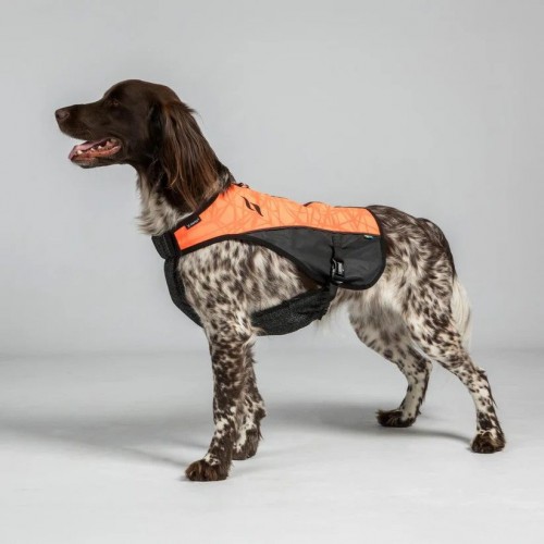 Back on Track Reflective Dog Vest Trakk