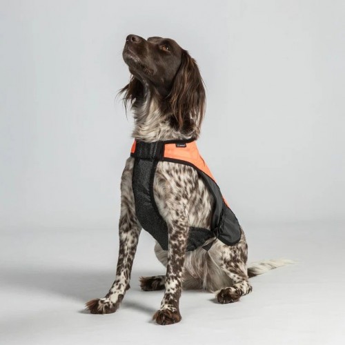 Back on Track Reflective Dog Vest Trakk