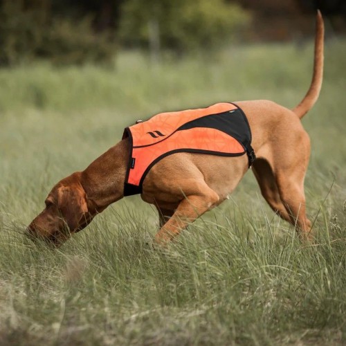 Back on Track Reflective Dog Vest Point