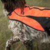 Back on Track Reflective Dog Vest Point