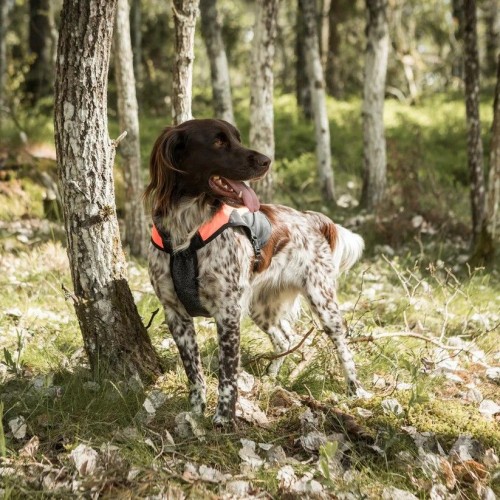 Back on Track Reflective Dog Vest Trakk