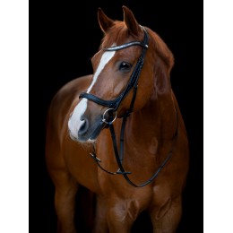HorseGuard Anatomical уздечка Tine