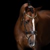 Imperial Riding Snaffle Bridle IRH simple combined noseband