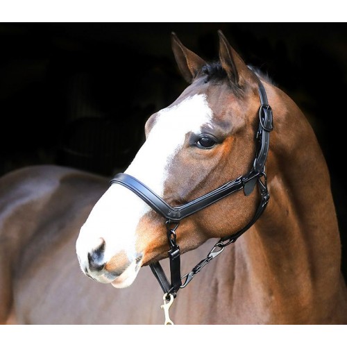 Liveryman Clipping Halter