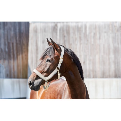 HorseGuard SS'23 Anatomical Halter