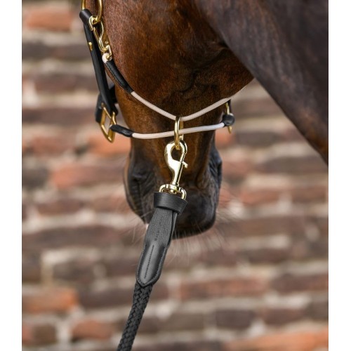 Waldhausen Halter Rope Royal with leather details