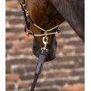 Waldhausen Halter Rope Royal with leather details
