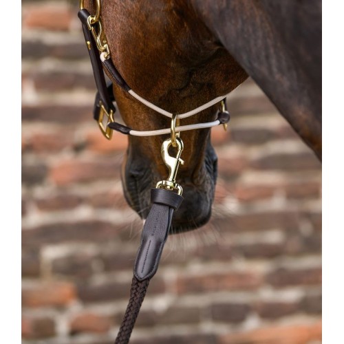 Waldhausen Halter Rope Royal with leather details