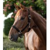 Waldhausen Halter Satin