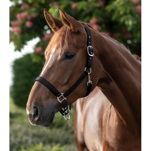 Waldhausen Halter Satin