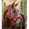 Waldhausen Halter Satin