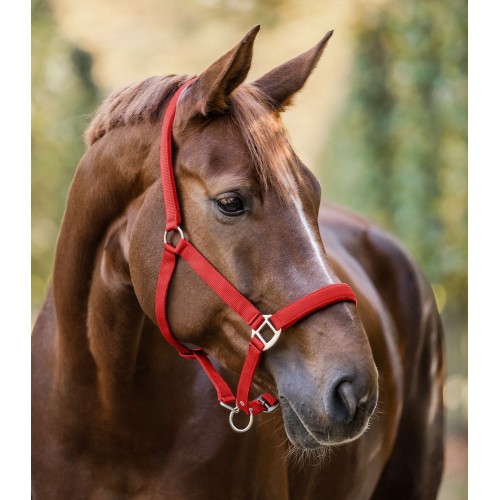 Waldhausen Halter Satin