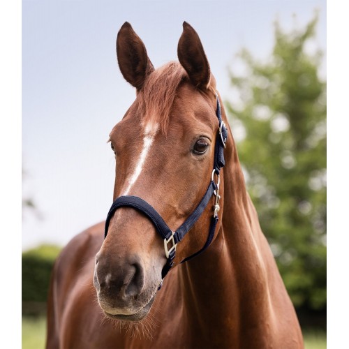 Waldhausen Halter Satin