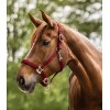 Waldhausen Halter Satin