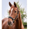 Waldhausen FW25 Halter Satin