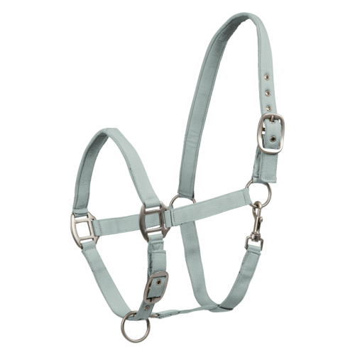 Waldhausen FW25 Halter Satin