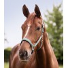 Waldhausen FW25 Halter Satin