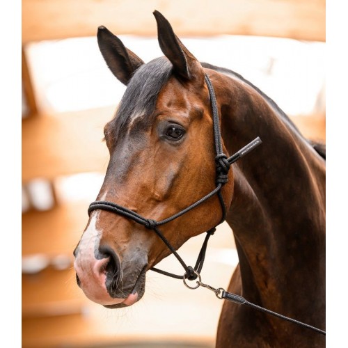 Waldhausen Rope Halter with Movable Ring