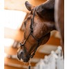 Waldhausen Rope Halter with Movable Ring