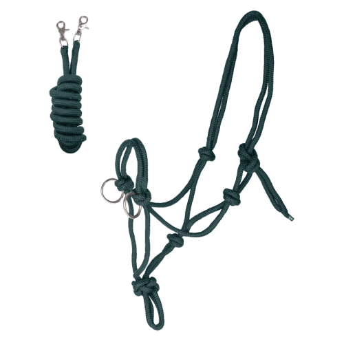 Waldhausen Rope Halter with Reins