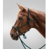 Waldhausen Rope Halter with Reins