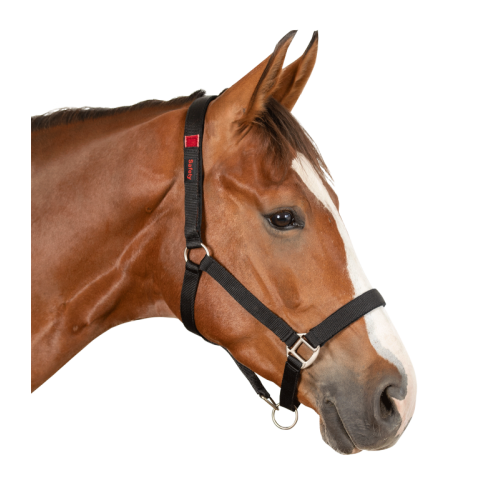 Waldhausen Safety halter