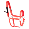 Waldhausen Safety halter