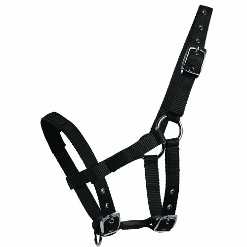Waldhausen Mini Shetland Halter