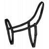 Waldhausen Pasture Halter