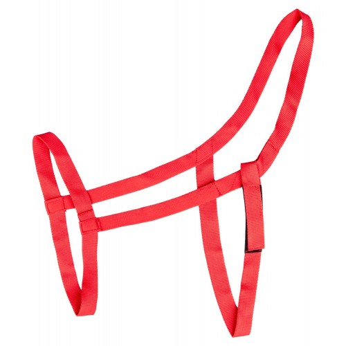 Waldhausen Pasture Halter