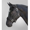 Waldhausen Halter Alcantara