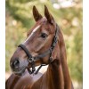 Waldhausen Halter Gloomy